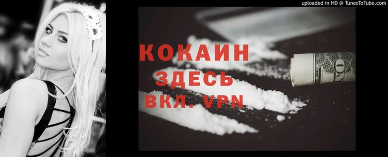 Cocaine FishScale  блэк спрут как войти  сайты даркнета клад  Азов 