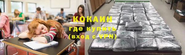 прущие грибы Вяземский