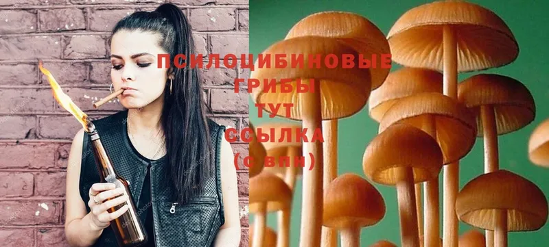 купить наркотики цена  Азов  Псилоцибиновые грибы Magic Shrooms 